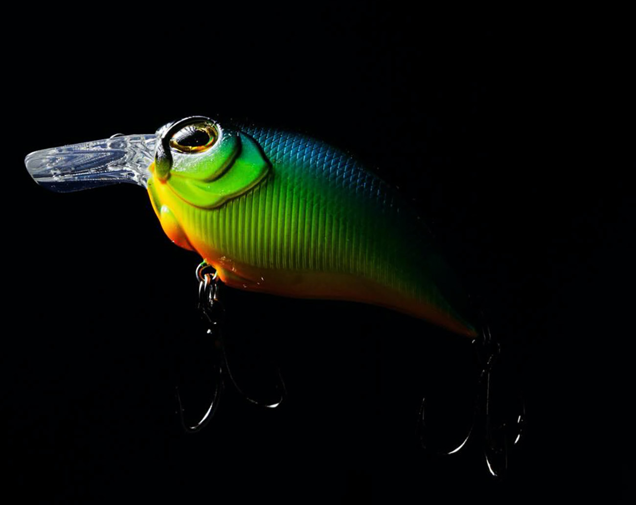 RenzStein Beastly Squarebill 